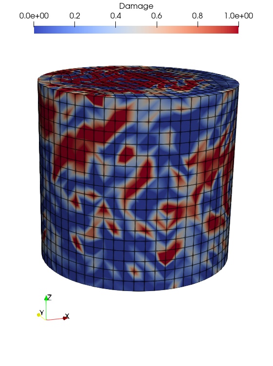 (c) Homogenized damage