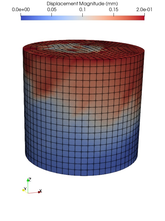 (a) Homogenized displacement field